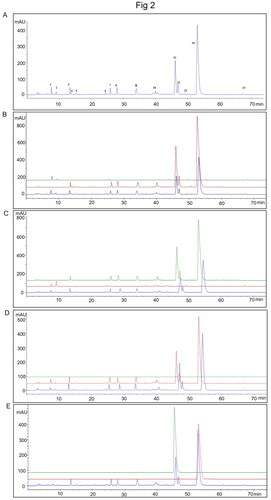 Figure 2. The ultra-high performance liquid chromatography fingerprints of TXD. (A) representative HPLC chromatograms of TXD. (B) chromatogram overlap of R. palmatum granules (green), TXD without R. palmatum granules (red) and TXD (blue). (C) chromatogram overlap of C. chinensis granules (green), TXD without C. chinensis granules (red) and TXD (blue). (D) chromatogram overlap of Z. officinale granules (green), TXD without Z. officinale granules (red) and TXD (blue). (E) chromatogram overlap of epiberberine (green), berberine (red) and TXD (blue).