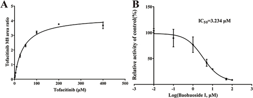 Figure 2 Michaelis–Menten kinetics (A) and the IC50 value (B) of tofacitinib in RLMs.