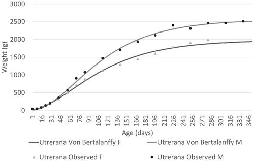 Figure 2. Growth curves for both sexes of Utrerana poultry breed predicted with the best fitting model in comparison with the observed data.