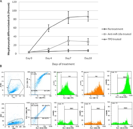 Figure 3. The Mk differentiation of CD133+ Hematopoietic stem cells in different treatments. (A) The mean percentage of CD42/CD61- and CD41-positive cells in days of treatment. (B) Flow cytometric analysis of Mk differentiation detection, the upper row shows TPO-treated cells, R1 = 91.9%, CD42/CD61+ cells = 80.9%, CD41+ cells = 86.8%, the lower row shows anti-miR-10a-treated cells, R1 = 93.28%, CD42/CD61+ = 36.3%, CD41+ cells = 30.1%.