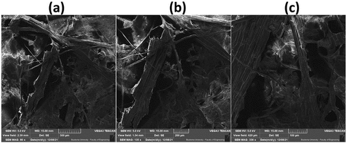 Figure 7. Surface morphologies of developed paper at magnifications of (a) 500 µm (b) 200 µm (c) 100 µm.