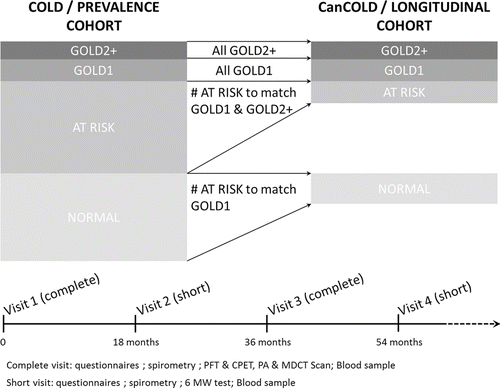 Figure 1.  CanCOLD study design and procedures.