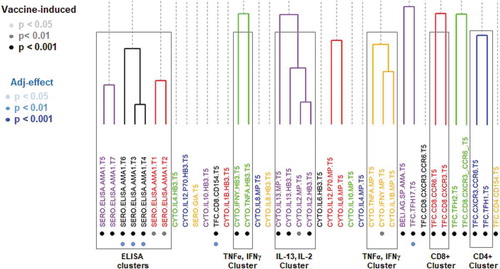 Figure 2. Hierarchical clustering of all immune measurements. Clusters were defined by a cutoff of a Pearson correlation coefficient of 0.60 and are color-coded. Immune measures that are classified as ‘vaccine-induced’ are highlighted with light, medium, and dark gray, corresponding to statistical significance (vs. pre-immune). Immune measures that are classified as showing adjuvant-specific differences are shown in light, medium, and dark blue based on its statistical significance (AS01B vs. AS01A).