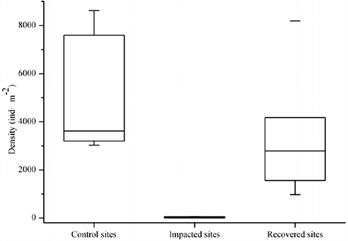 Figure 2. Density of macroinvertebrates at sampling sites.