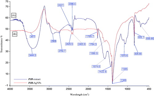 Figure 4. FTIR spectra of (A) P. juliflora bark extract and (B) biosynthesized PJB-AgNPs.