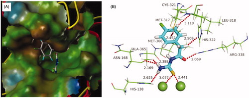 Figure 4. Predicted binding mode of ligand-urease (PDB code: 1e9y): (A) compound b19 shown as white sticks and the enzyme shown as surface. (B) Compound b19 shown as cyan sticks and enzyme shown as lines; Hydrogen bonds shown as red dashed lines.