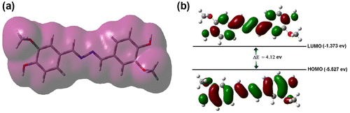 Figure 10. (a) Electron density distribution of synthesized azine; (b) HOMO and LUMO contours of azine molecule.