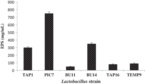 Figure 1. EPS yield (mg/mL) of the isolated Lactobacillus strains.Figura 1. Rendimiento de CPE (mg/mL) de las cepas aisladas de Lactobacillus.