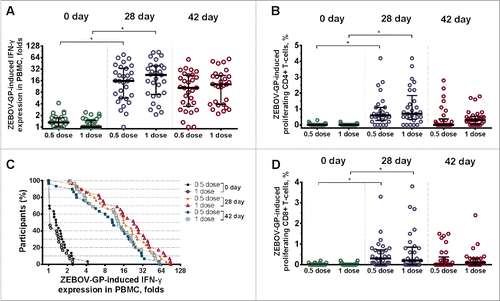 Figure 4. Cell-mediated immune response to Ebola virus glycoprotein at days 0, 28, and 42 in volunteers immunized at half and full dose of VSV-glycoprotein and Ad5-glycoprotein. A) Fold increase in interferon-γ production by peripheral blood mononuclear cells exposed to glycoprotein. B) Glycoprotein-specific proliferation of CD4+ T-cells. C) Fold increase in interferon-γ production by peripheral blood mononuclear cells exposed to glycoprotein. Curves show the distribution of individual interferon-γ production in each treatment group at days 0, 28, and 42. D) Glycoprotein-specific proliferation of CD8+ T-cells. *, p < 0.0001.
