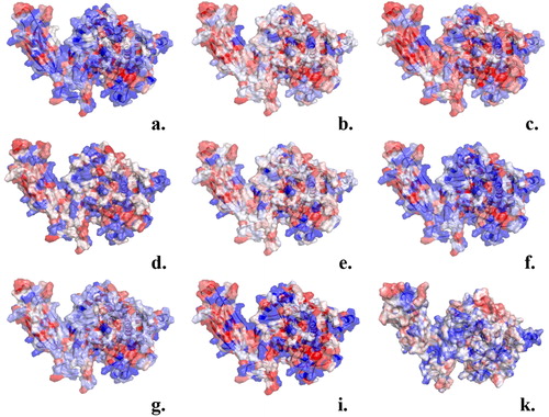 Figure 2. Amino acids color-coded (red hydrophobic; blue hydrophilic) based on the values of hydrophobicity scales of: (a) Cornette et al. (Citation1987) (−3.1 to 5.7); (b) Eisenberg et al. (Citation1984) (−2.53 to 1.38); (c) Engelman et al. (Citation1986) (−12.3 to 3.7); (d) Hopp and Woods (Citation1983) (−3.4 to 3.0); (e) Janin (Citation1979) (−1.8 to 0.9); (f) Kyte & Doolittle (Citation1982) (−4.5 kcal/mol to 4.5 kcal/mol); (g) Rose et al. (Citation1985) (0.52 to 0.91); (i) Schauperl et al. (Citation2016) (−15 to −5) and (k) the ΔG values of the surrounding water molecules (cut-off 4 Å) calculated using GIST tool (−4kcal/mol to 1 kcal/mol).