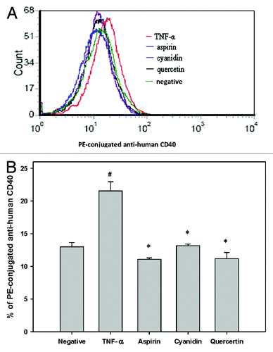 Figure 3. Reduced CD40 expression in response to PSPLE components. (A) CD40 expression in untreated cells (green), TNF-α treated cells (red), aspirin treated cells (blue), quercetin treated cells (black) and cyanidin treated cells (purple) was quantified by flow cytometry. (B) Data are expressed as the mean ± SD of three experiments. # indicates a significant difference between the TNF-α treatment and control group, p < 0.05. * indicates a significant difference between the TNF-α and experimental treatment groups, p < 0.05.
