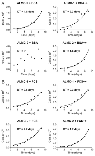 Figure 2 Population kinetics under cytokine stimulation. The population size of both ALMC-1 (top part) and ALMC-2 cells (bottom part) growing in the presence or absence of growth factor stimulation were determined daily. In (A) we compare growth of the two populations in the presence of bovine serum albumin (BSA) or BSA supplemented with IL-6 and IGF-1 (denoted by ++). In (B) we compare population growth in the presence of fetal calf serum (FCS) with or without IL-6 and IGF-1 (denoted by ++). Addition of both cytokines enhanced growth of ALMC-2 while slowing growth of ALMC-1.