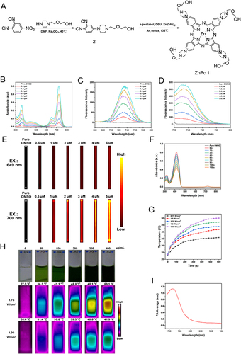 Figure 1 (A) Synthetic route of ZnPc 1. (B) UV–Vis absorption spectra of ZnPc 1. (C) FL emission spectra of ZnPc 1 with λEx = 649 nm. (D) FL emission spectra of ZnPc 1 with λEx = 700 nm. (E) The UV–Vis spectra of DPBF containing ZnPc 1 for different irradiation times under 690 nm laser irradiation (0.2 W/cm2). (F) Temperature elevation of ZnPc 1 in DMSO in dependence of power density (808 nm). (G) PA spectrum of ZnPc 1. (H) In vitro FL images of ZnPc 1 at different concentrations with ZnPc 1 in DMSO with λEx = 649 nm or λEx = 700 nm. (I) Optical graphs and IR thermal images of ZnPc 1 in DMSO at different concentrations.