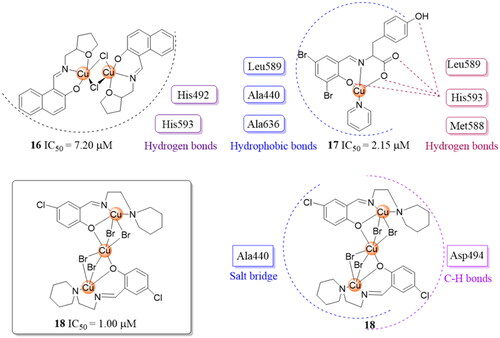 Figure 4. Schiff base copper metal complexes 16–18 and docking study of most active inhibitor 18.