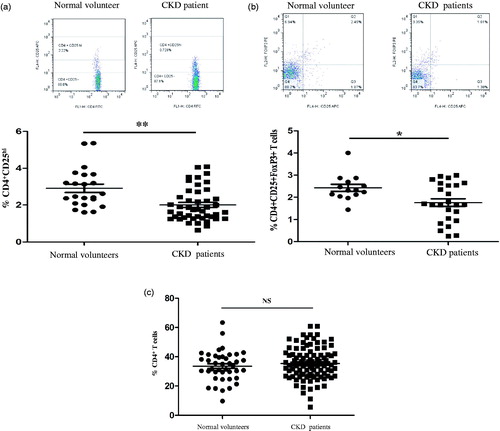 Figure 1. The frequency of peripheral regulatory CD4+ T cells (Tregs) in PBMCs from normal subjects and patients with CKD. Tregs were determined within fresh isolated PBMCs of healthy individuals (n = 35) and chronic kidney disease (CKD) patients not receiving steroids and immunosuppressant therapy (n = 77). (a) A typical example dot plot of the gating strategy CD4+CD25hi for Tregs by flow cytometry-based cell characterizing is given (upper panel). In the lower panel, the frequencies of Tregs within CD4+ T cells are depicted in a graph. (b) A typical example dot plot of the gating strategy CD4+CD25+ FoxP3+ for Tregs by flow cytometry-based cell characterizing is given (upper panel). In the lower panel, the frequencies of Tregs within CD4+ T cells are depicted in a graph. p Values are depicted in the graph. (c) The frequencies of total CD4+ T lymphocytes are depicted in the graph. p Values are depicted in the graph. Study groups were compared using the nonparametric Student’s t-test. *p < .05, **p < .01, NS: no significance, for comparisons between the CKD patients group and the healthy controls using t-tests.