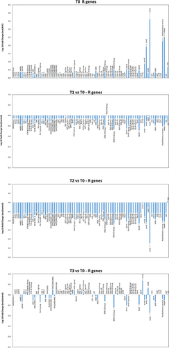 Figure 7 Characterization of the resistome of the ER microbiome before and after PCHS introduction. Results of qPCR microarray analysis performed in duplicate samples collected at T0 (pre-PCHS period) and at T1, T2, and T3 after PCHS introduction. Results are expressed as mean value of Log10 fold change compared to controls ± S.D, for each indicated resistance gene.
