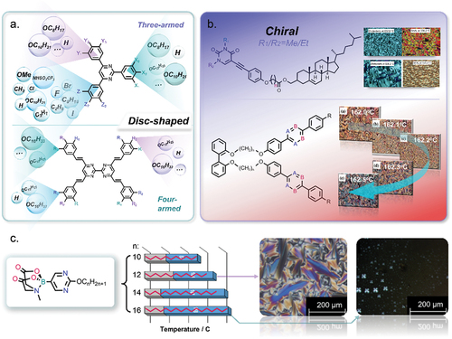 Figure 2. (Colour online) The schematic exhibition of structures and mesophases for pyrimidine liquid crystals based on geometric shape, flexible chains, molecular polarity and polarizability, etc.