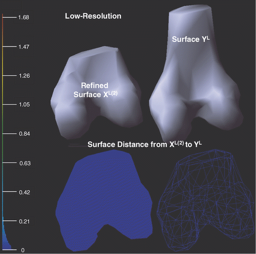 Figure 10. Illustration of the deformed low-resolution surfaces XL(2) and YL after applying the local refinement (see Local refining procedure sub-section) to XL(1). Point-to-surface distances from XL(2) to YL are illustrated by an HSV color map: the color of each vertex on XL(2) represents the distance d(p, YL), p ∈ XL(2). Both surface (left) and mesh (right) display modes are shown on the bottom row.