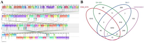 Figure 8. Genomic colinearity analyses (A) of S. nematodiphila DH-S01 and S. nematodiphila DZ0503SBS1, S. fonticola DSM 4576 and S. marcescens Db11. Venn diagram (B) showing the number of clusters of orthologous genes shared and unique between strains clustered in DH-S01, DZ0503SBS1, DSM 4576 and Db11.