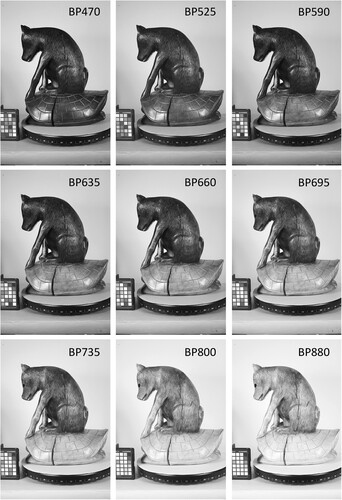 Figure 15. Wavelength selection image set of coyote and turtle sculpture using modified camera and MidOpt bandpass filters (Figure 16). This image set provides information about the object materials and surface characteristics to inform the selection of imaging wavelengths.