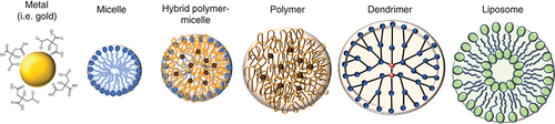 Figure 4. Examples of different types of nanoparticles.Metal nanoparticle (NP) types include gold, gadolinium and silica and can achieve the smallest sizes including 1–10 nm. Micellar NPs are made of a lipid monolayer and can be on the order of 10 nm. Polymer NPs are versatile structures with a wide range of different polymer types. The most often used polymers are PLA and PLGA. Aside from PLA and PLGA, other polymers that can be used and can also be incorporated into micelles, such as PEO, PPO, PS and PCL. Dendrimers are highly branched, star-shaped macromolecules with nanometer-scale dimensions. Liposomes are lipid bilayers used often in cancer drug delivery.