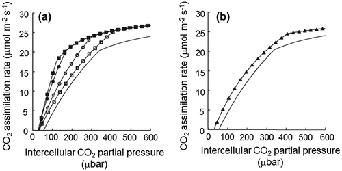 Fig. 3. Effect of the properties of RuBisCO on photosynthetic CO2 assimilation rates.Citation12)