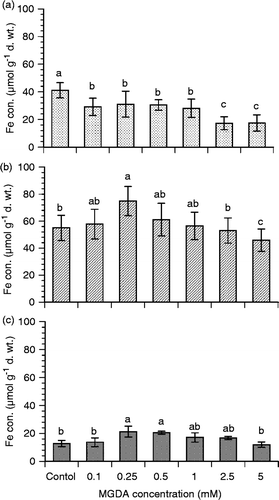 Figure 4. The influence of methylglycinediacetic acid (MGDA) concentrations on iron (Fe) concentrations on root surfaces (a), in roots (b), and in shoots (c) of rice seedlings (Oryza sativa L.). Fe concentrations in roots were measured after removing Fe from root surfaces by citrate–bicarbonate–ehylenediaminetetraacetic acid (CBE) solution. Values are mean ± SD (n = 3). Different letters indicate significant differences (p < 0.05) between treatments.