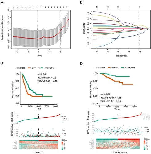 Figure 2 Identification of an anoikis-related prognostic signature. (A) Identification of eight anoikis-related genes associated with prognosis of patients with LUAD by LASSO analysis with 10-fold cross validation. (B) Coefficient profile plots of eight prognostic anoikis-related genes. (C and D) Kaplan-Meier analyses showing differences in overall survival in subgroups of patients with LUAD.