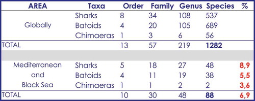 Figure 3. Synoptic table showing the number of species belonging to each systematic group of chondrichthyans. The relationship between Mediterranean chondrichthyans and global one is compared in terms of percentage