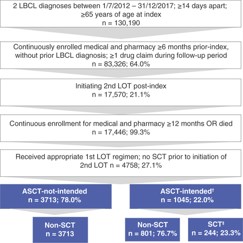 Figure 1. Study attrition and cohort assignment. †136 patients (13%) were recoded from ASCT-not-intended to ASCT-intended because they received SCT during follow-up. ‡199 patients (81.6%) received SCT second line and 45 (18.4%) received SCT third line or higher.ASCT: Autologous stem cell transplant; LOT: Line of therapy; SCT: Stem cell transplant.