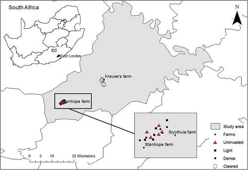 Figure 1. Map showing location of the study site and the placement of sampling plots.