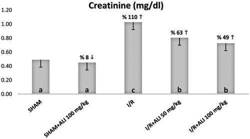Figure 5. Effect of aliskiren treatment on serum creatinine levels in rats. Notes: ALI: Aliskiren, I/R: ischemia/reperfusion. Means in the same column by the same letter are not significantly different to the test of Duncan (p = 0.05). Results are means ± SD.