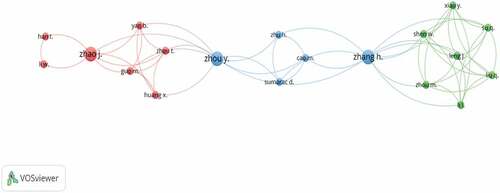 Figure 3. Results of co- authorship network analysis of the 131 documents reviewed related to City Digital Twins.