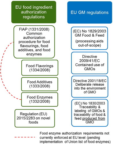 Figure 2. EU Food and GM Regulations (December 2019 status). It is of note that the FIAP and Novel Foods regulations are mutually exclusive from the GM Food and Feed Regulation, even though GMMs may be used to produce enzymes or novel foods. Any approved food enzyme or novel food produced with a GMM is not a GM food. Conversely, any GM food cannot be a novel food and should be evaluated under the GM Food & Feed regulation.