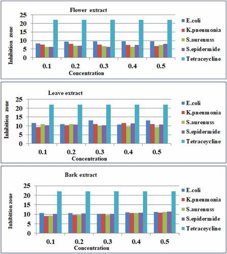 Figure 5. A bar graph shows inhibition zone versus concentration of antibacterial activities of aqueous crude flower, leaf, and bark extracts of Hibiscus rosa-sinensis against E. coli, K. pneumonia, S. aureus, S. epidermidis, and tetracycline, respectively in different concentration ranges (0.1–0.5 g/ 25 ml).