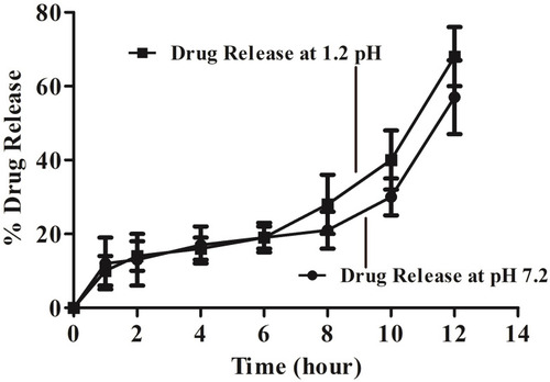 Figure 6 Graphical representation of in vitro drug release, conducted at acidic pH (1.2) and basic pH (7.2), showing sustained and controlled release of drug from MMF-loaded βCD facilitated SLNs, during 12 h of the studies.
