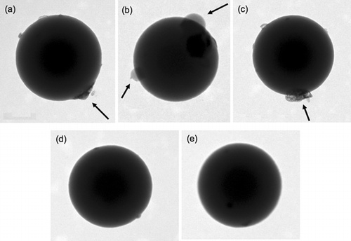 FIG. 1 TEM images of 535 nm PSL internally mixed with (NH4)2SO4 from 0.1 wt% solutions are shown in (a)–(c). Crystallites of (NH4)2SO4, designated by the arrows, are visible as islands on the surface of the PSLs. TEM images of 535 nm PSLs without (NH4)2SO4 coatings are shown in (d) and (e). The PSLs without (NH4)2SO4 are more spherical compared to the particles with (NH4)2SO4 although the uncoated particle surfaces do show some small “bumps” on the surface that may be due to impurities in the water.