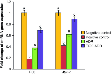 Figure 2. Effect of Adriamycin and combination of both TiO2 and Adriamycin against breast cancer in rat breast tissue on P53 and Jak-2 gene expression.Data were expressed as means ± SD (n = 10). The p < 0.05 is considered significant. Groups having the same letter are not significantly different from each other, while those having different letters are significantly different from each other.