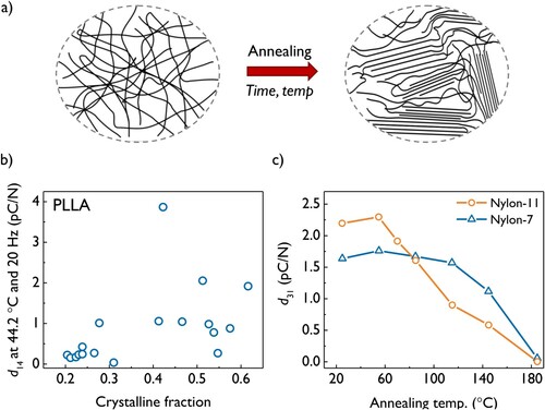 Figure 3. (a) A schematic representation of polymer crystallisation as a result of annealing. Note how that even after crystallisation, the polymer remains isotropic and hence crystallisation in itself is often not sufficient to remove a centre of symmetry. (b) The influence of polymer crystalline fraction on the piezoelectric coefficient of PLLA. Data reproduced with permission from reference [Citation60] . (c) The influence of annealing temperature on the piezoelectric properties of Nylon-11 and Nylon-7. In this instance, annealing has a negative impact, reducing the piezoelectric coefficient. Data reproduced with permission from reference [Citation61] .