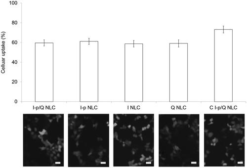 Figure 4. Cellular uptake of NLCs: fluorescence images and flow cytometer results. Bars equal to 50 μm. Data presented as means ± SD (n = 6).