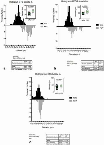 Figure 2. a-c. Comparative histograms of tibialis anterior muscle samples of Zucker obese and lean of the 45-week-old female rats and statistical comparisons indicate overall atrophy of the obese fiber types