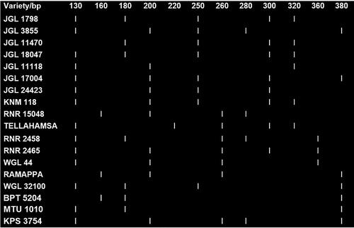 Figure 6. Barcode for multiplex assay.