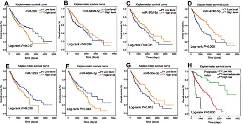 Figure 3 Survival analysis using Kaplan–Meier curves with the log-rank test in the training set. (A) miR-326, (B) miR-6499-5p, (C) miR-30d-3p, (D) miR-4746-5p, (E) miR-1293, (F) miR-4664-3p, (G) miR-30e-3p. (H) Seven-miR signature prognosis index.Abbreviation: miR, microRNA.