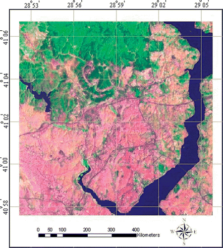 Figure 2.  The image data used for ANN classification: Lansat TM scene of Istanbul.