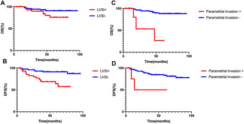 Figure 2 Kaplan-Meier curves of overall survival (OS) and disease-free survival (DFS) for patients stratified by lymphovascular space involvement (LVSI) (A and B) and parametrial invasion (C and D).