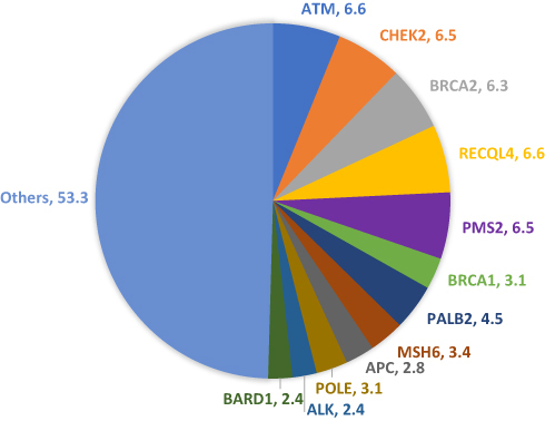 Figure 3 Rates of Variants of Uncertain Significance (VUS) in percentage*. *Numbers next to gene involved represent percentage from all VUS.