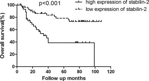 Figure 1. Patients with high expression of Stabilin-2 had a poorer OS than those with low expression of it (p < 0.001)