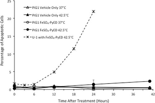 Figure 4. Differential effect of hyperthermia on apoptosis induced by FeSO4-PyED in U-1 melanoma and PIG1 melanocytes. Cells were incubated with 100 µM FeSO4-PyED or vehicle (1.5% water) for 1 h at 37 °C or 42.5 °C and then incubated at 37 °C with fresh media for various times. Apoptotic fractions were determined from bivariate plots of Annexin V-EGFP and PI fluorescence after treatments (not shown). The dashed line is representative of data from previously-published experiments with FeSO4-PyED on U-1 melanoma cells. Error bars represent SEM for 2–3 experiments.