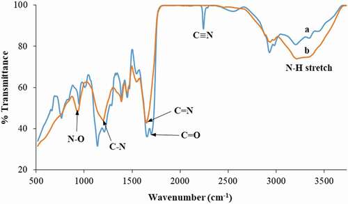 Figure 4. FTIR spectra of polymer gel (a) before and (b) after amidoximation (AN:MAA of 80:20, crosslinking agent of 1 g/100 mL and H2O2 of 60 mL).