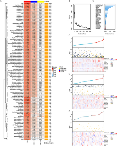 Figure 5 Establishment and validation of the prediction model. (A) A total of 96 sorts of prediction models and their C-index via machine learning method. (B) Error rate of RSF model at different number of trees. (C) Importance of different variables. (D–F) Survival time, status and CD8 Tex-related lncRNA expression as the risk score growing. (D) TCGA-LIHC cohort, (E) GSE14520 cohort and (F) GSE40144 cohort.